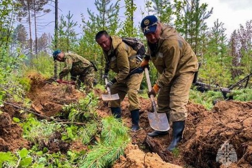 Треть задействованных в тушении лесных пожаров сил работают в Олекминском районе Якутии