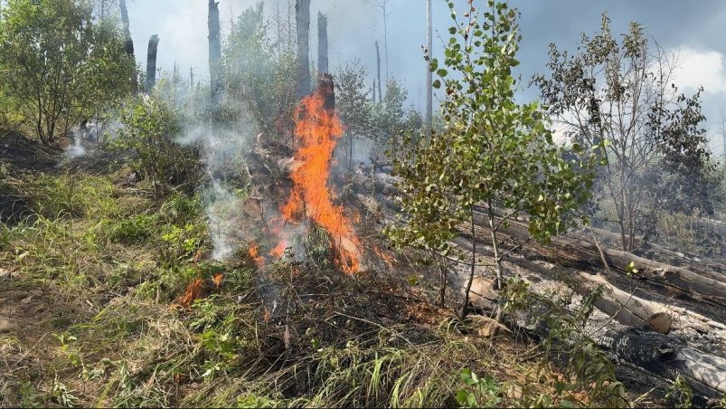 За сутки гроза стала причиной еще 11 лесных пожаров в Бурятии
