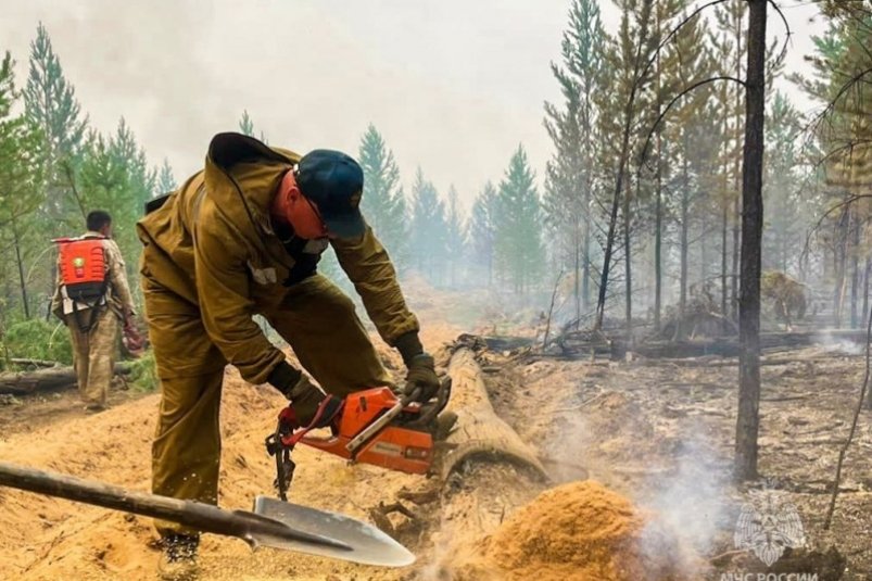 Около 900 тысяч гектар леса горит в Якутии