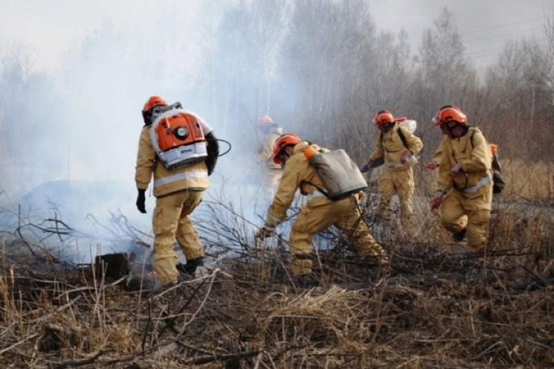 9 лесных пожаров действуют в Хабаровском крае