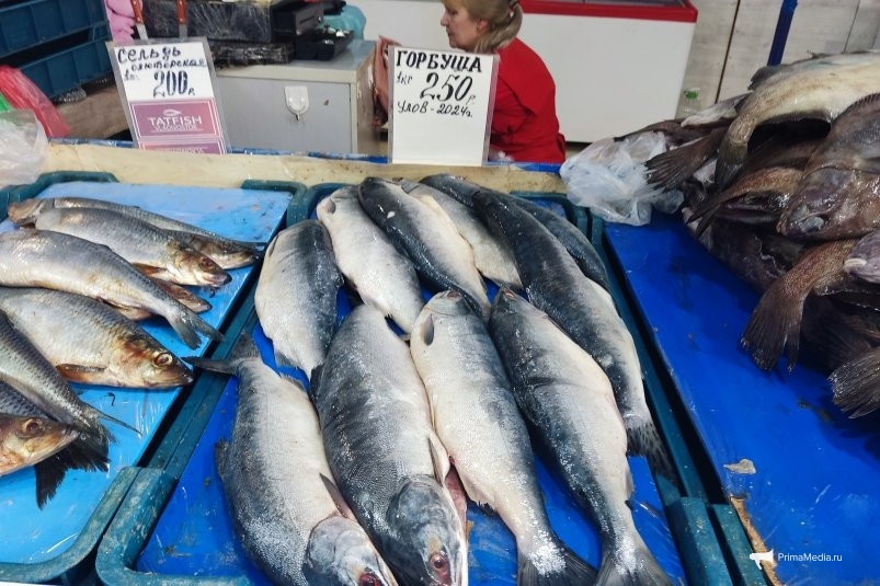 Горбуша, сима, кета: где купить свежую рыбу - в обзоре рыбных мест столицы Приморья