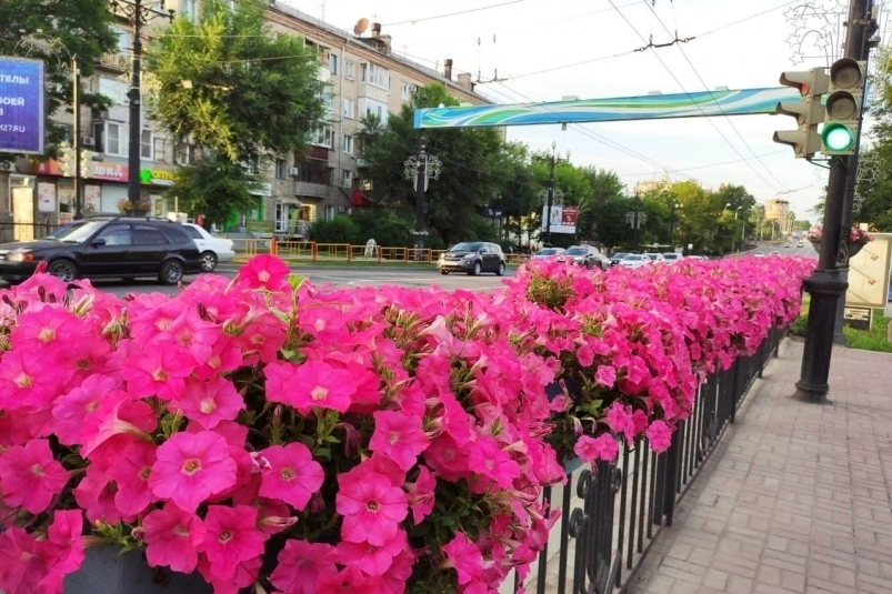 Пока вы спали: фейк от Ивана Ивановича,