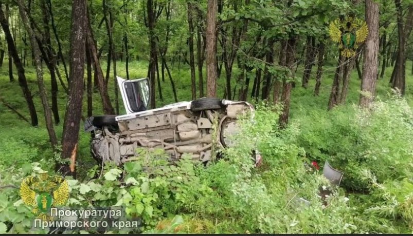 Пятерых на скорой забрали: жуткое ДТП с 