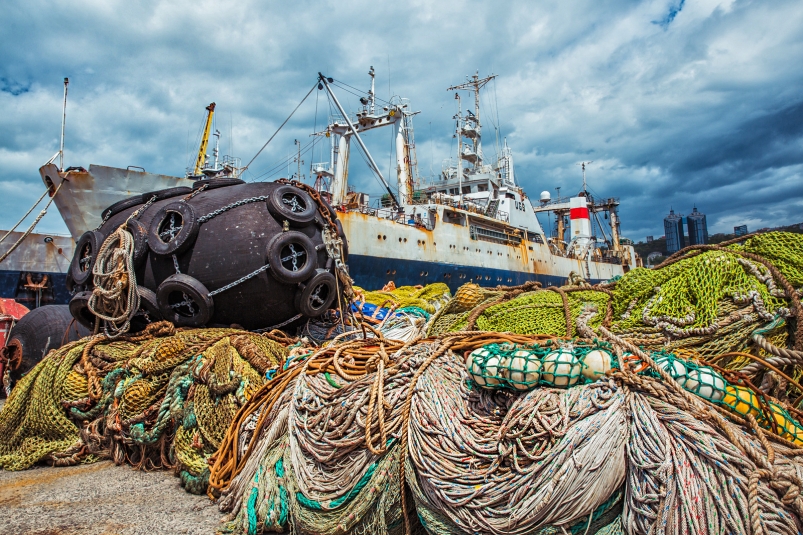 Развитие экспорта рыбной продукции обсудят в сентябре