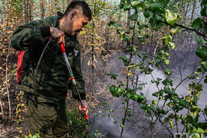 Около 24 тысяч горящего леса удалось потушить в Якутии за сутки