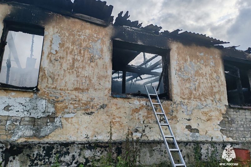 Спасатели устанавливают причину пожара в приюте для животных в поселке Ванино
