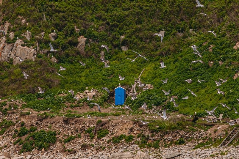 Отдыхающие – о туалетах на популярных пляжах Владивостока: 