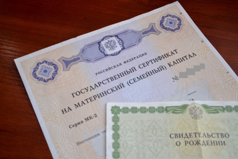 Более 120 семей при рождении двойни получили маткапитал в ЕАО и Хабаровском крае