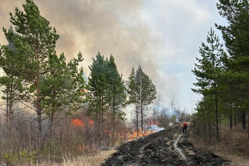 Десять лесных пожаров бушуют в Иркутской области