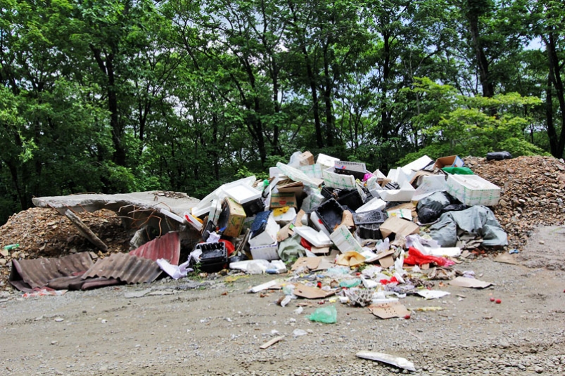 Уничтожили пять мусорок – Владивосток 
