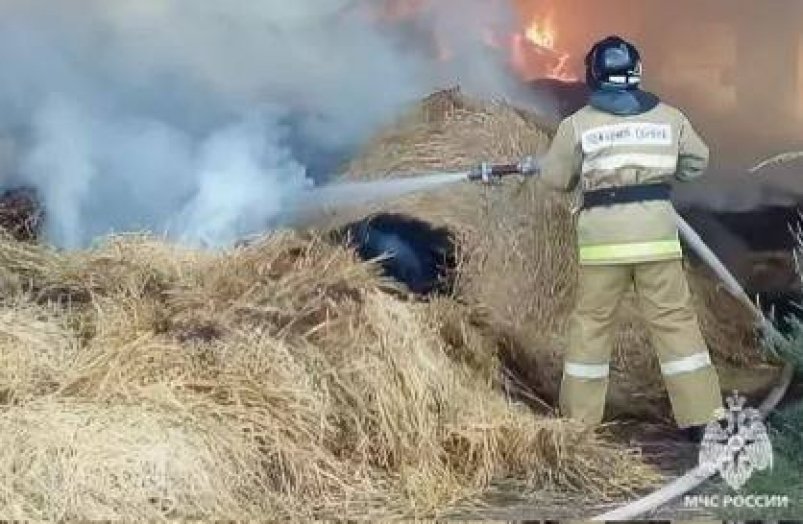 В Биробиджане мужчина спалил сигаретой рулон сена в соседском подворье