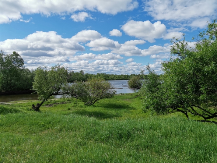 Лесной участок можно взять в аренду в Якутии