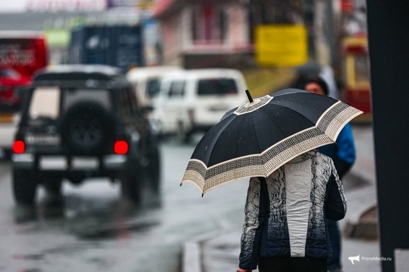 Дожди обрушатся на Приморье в четверг