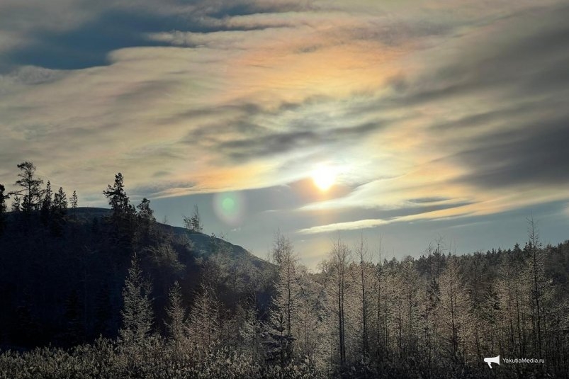 Гороскоп на неделю: В профессиональной сфере внимание будет направлено на детали