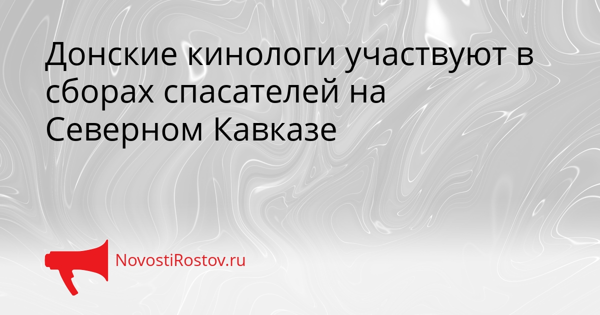 Донские кинологи участвуют в сборах спасателей на Северном Кавказе - NovostiRostov, 15.09.2026