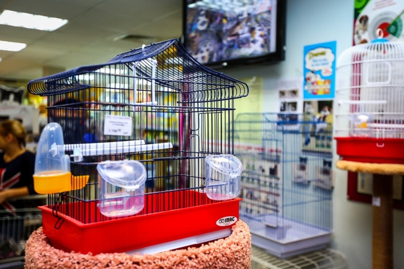 Тематическое фото ИА PrimaMedia