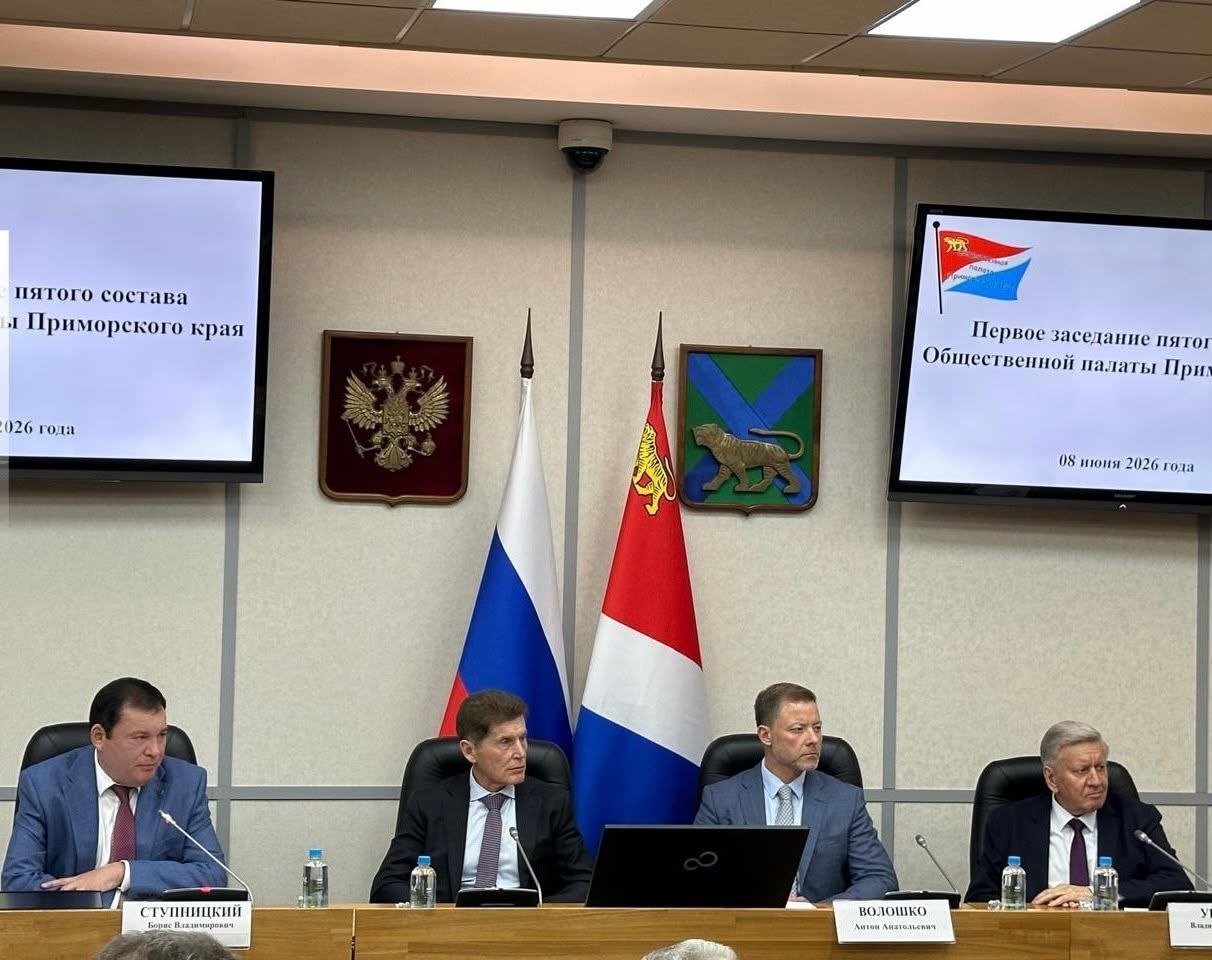 Борис Ступницкий избран председателем Общественной палаты Приморского края 5 созыва Ирина Любецкая