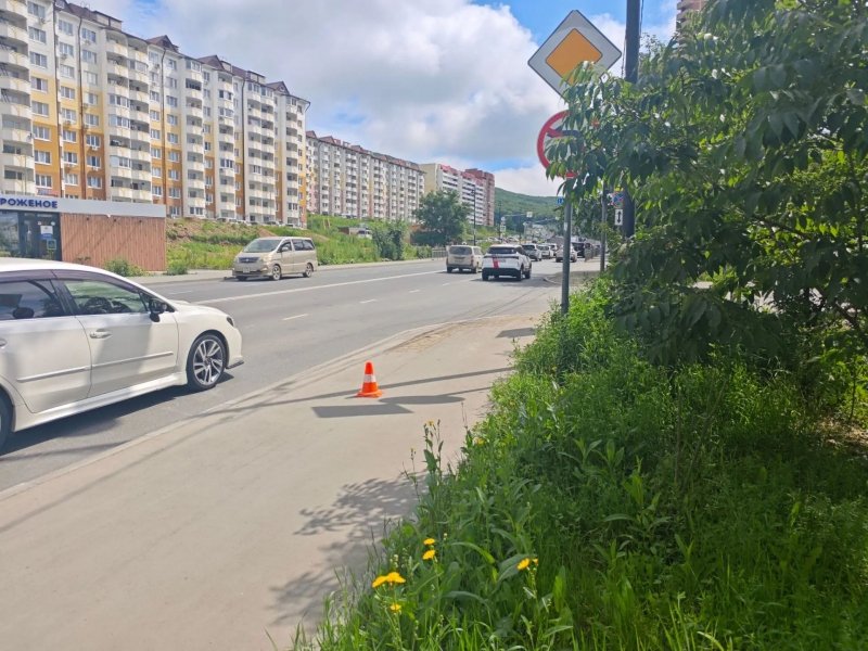 Юноша на электросамокате сбил мать с трёхлетним ребёнком во Владивостоке пресс-служба УМВД России по Приморскому краю