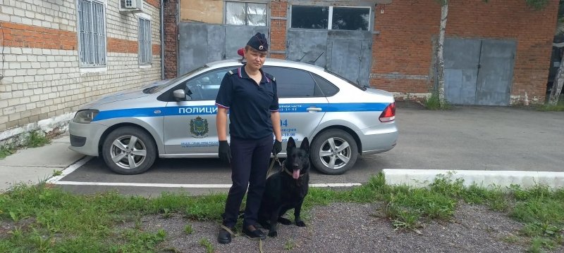 Собака по кличке Династия помогла найти вора в Михайловке пресс-служба УМВД России по Приморскому краю