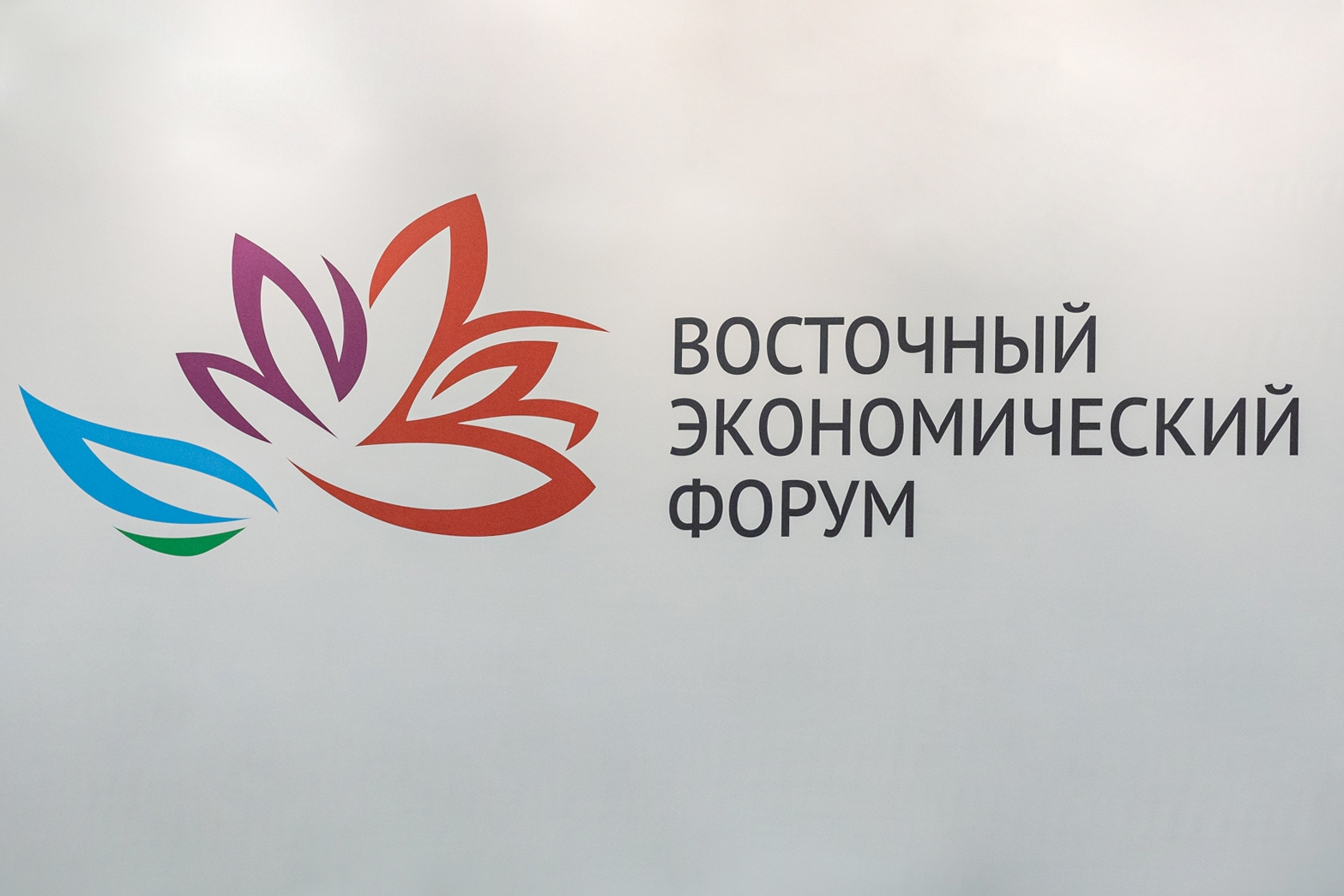Восточный экономический форум стартовал 1 сентября во Владивостоке