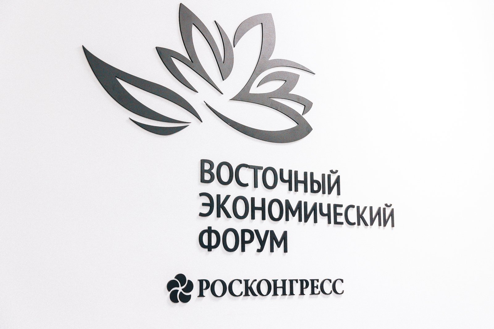 Восточный экономический форум ИА PrimaMedia