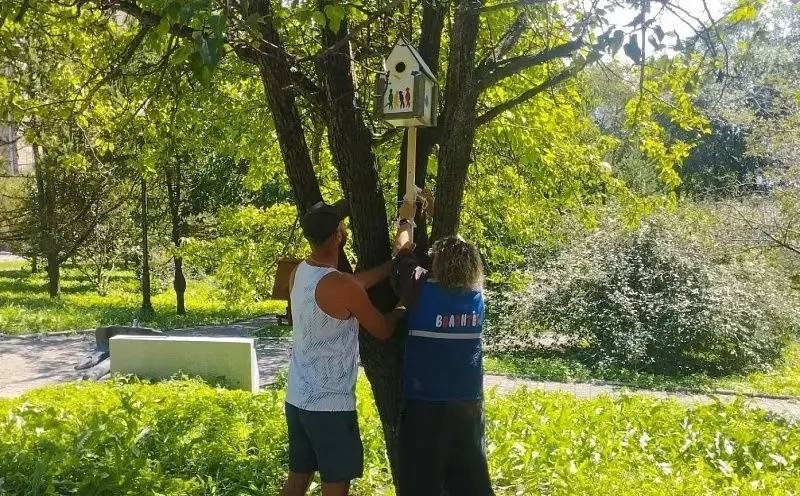 Кормушки для птиц появились в сквере Юнг во Владивостоке Пресс-служба администрации Владивостока