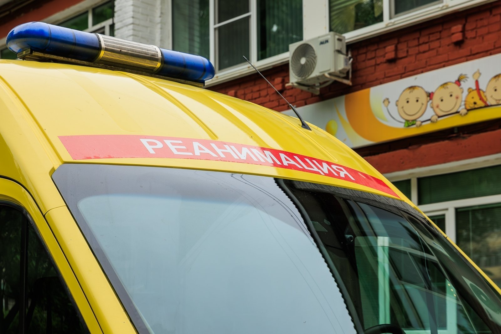 Тематическое фото ИА PrimaMedia