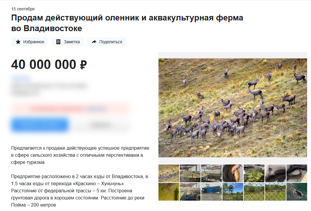 Оленью ферму по соседству с нацпарком &quotЗемля леопарда&quot выставили на продажу Скриншот сайта объявлений