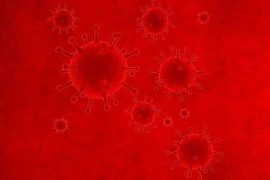 Виртуальный круглый стол "Социальное самочувствие в условиях пандемии"