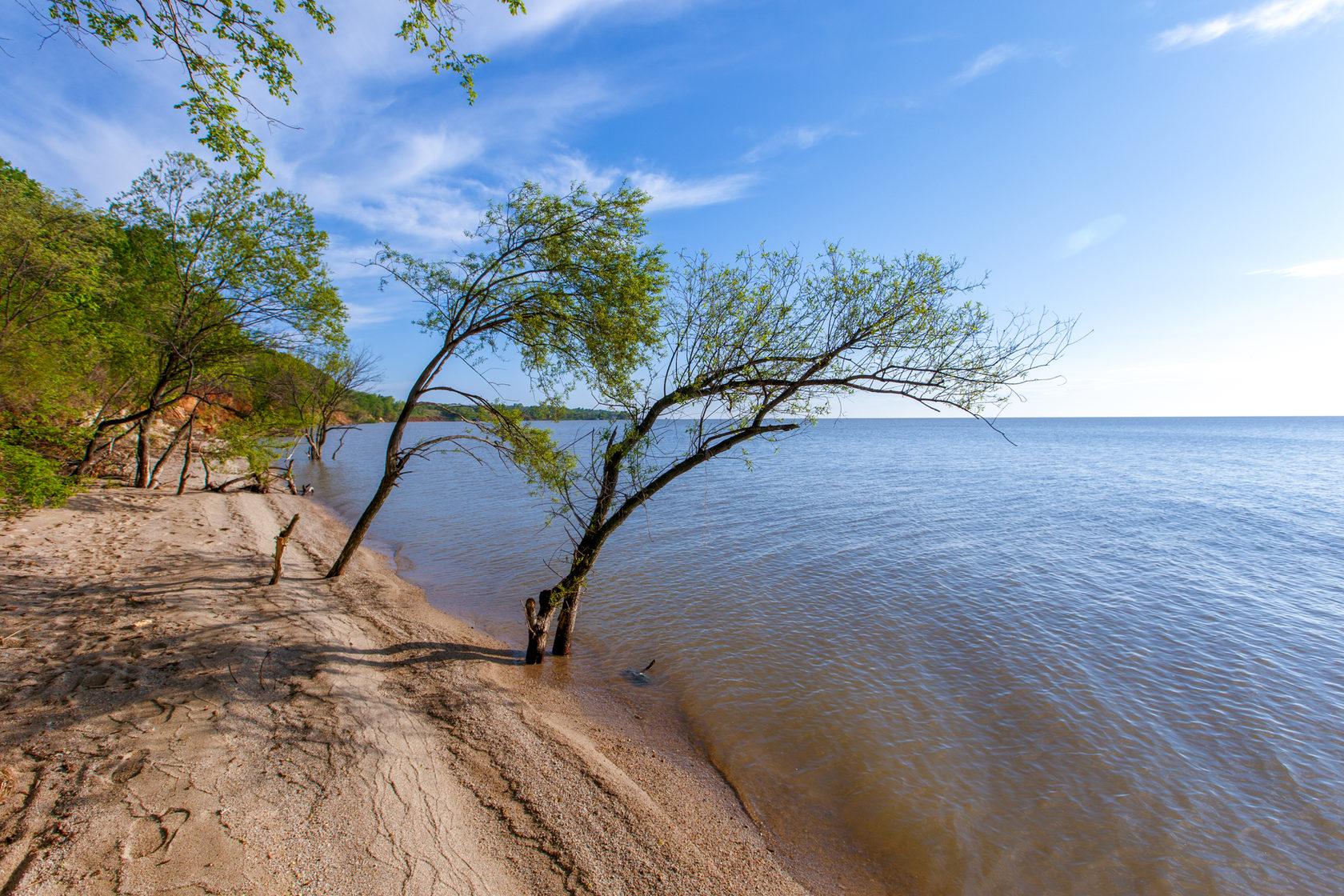 Самое большое море приморского края. Озеро ханка. Озеро ханка Приморский. Озеро ханка Дальний Восток. Озеро ханка Приморский край фото.